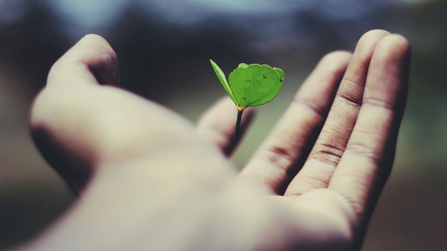 The Power of Authenticity in Personal Growth