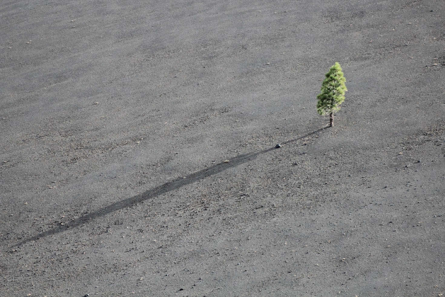 Building a Growth Mindset for Long-Term Success